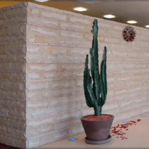 Split effect partition in stone